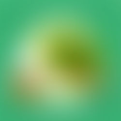 Bacopa Monnieri (Brahmi)