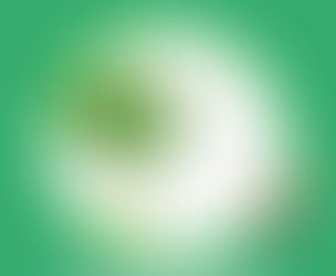 Aloe Barbadensis (Aloe Vera)