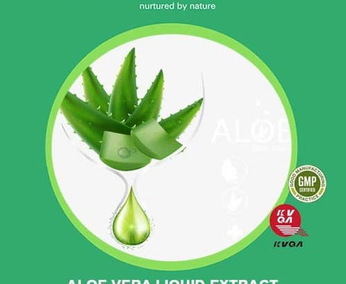 Aloe Barbadensis (Aloe Vera)