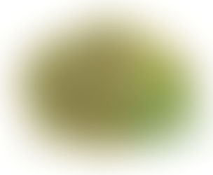 Premium Clerodendrum Serratum Extracts Supplier in bay of plenty