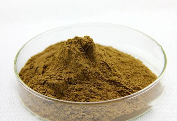 Bacopa Monnieri (Brahmi)