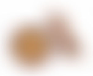 Premium Deglycyrrhizinated Licorice Extracts Supplier in Gisborne