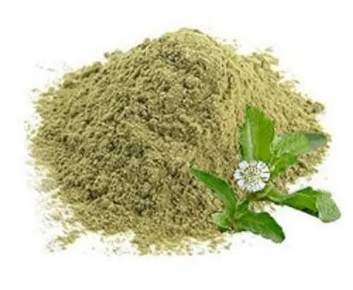 Premium Jasminum Fluminense Extracts Supplier in Maryland