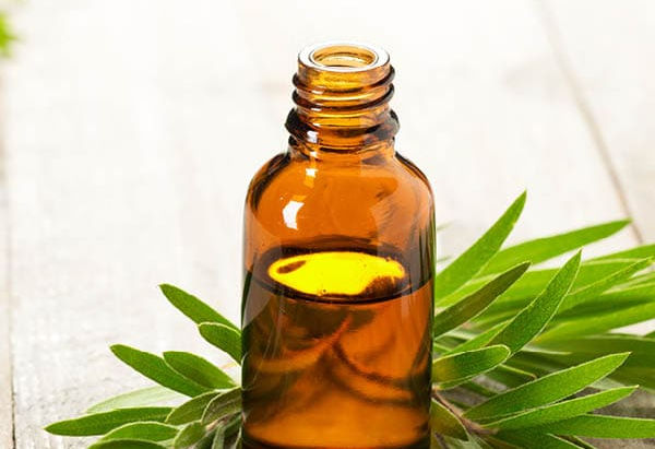 Tea Tree Oil