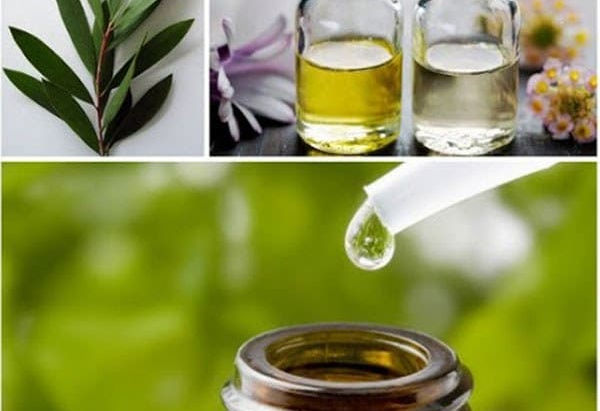 Tea Tree Oil