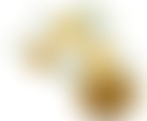 Premium Matricaria Chamomilla Extracts Supplier in bay of plenty