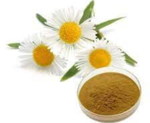 Premium Matricaria Chamomilla Extracts Supplier in bay of plenty