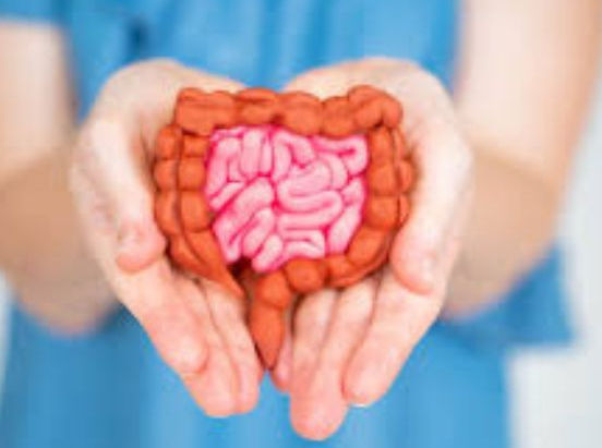 Introduction to Gut Reset