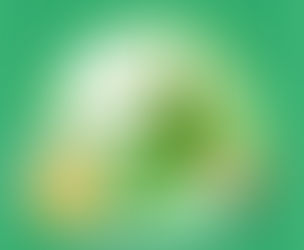 Premium Aloe Vera Extracts Supplier in Portland