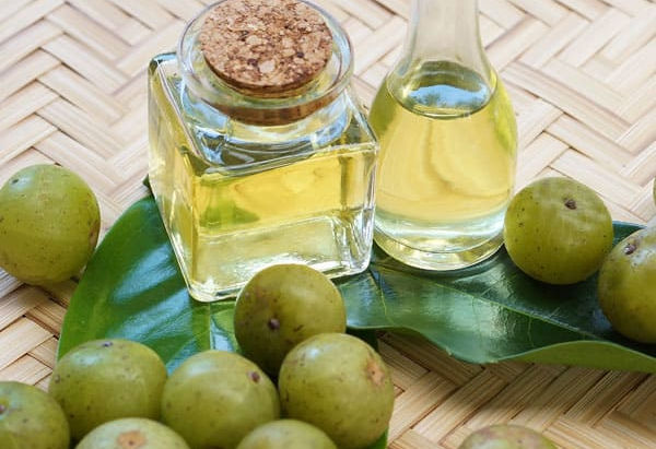 Emblica Officinalis (Amla)