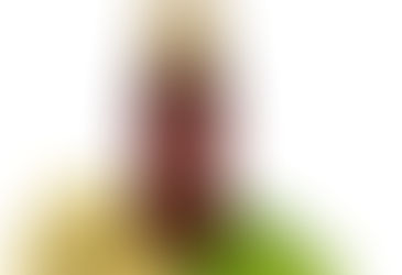 Elettaria Cardamomum (Elaichi)