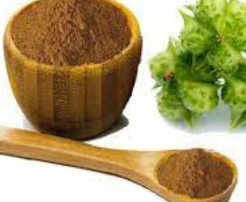 Premium Tribulus Terrestris Extracts Supplier in st-louis