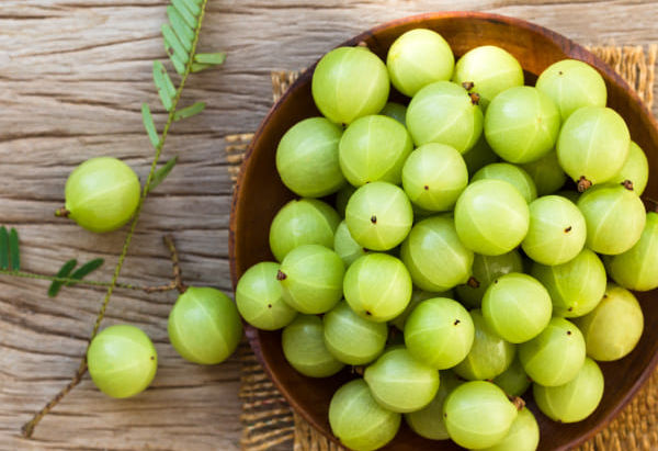 Premium Phyllanthus Emblica Extracts Supplier in st-louis