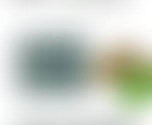 Premium Gymnema Sylvestre Extracts Supplier in Gisborne