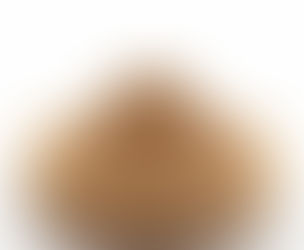 Premium Bambusa arundinacea Extracts Supplier in West Coast