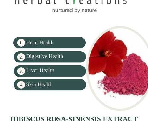 Premium Hibiscus Rosa Sinensis Extracts Supplier in bay of plenty
