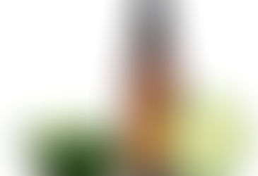 Cucumis Sativus (Cucumber)