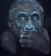 Gorilla portrait
