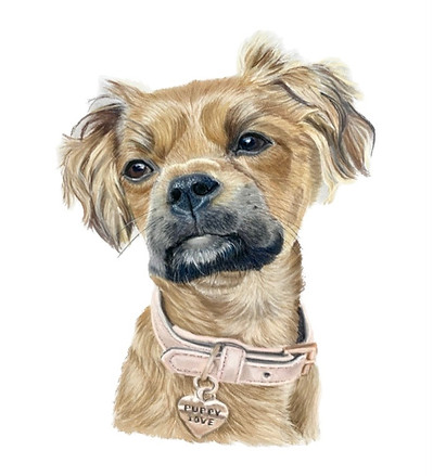 Dog Portrait
