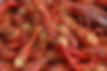 Crawfish_0608.JPG