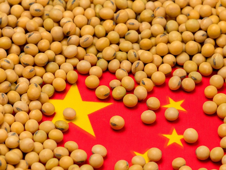 Importações de soja da China crescem 8 % em março, mesmo com demanda mais tímida