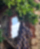 ola profile potential_edited.jpg