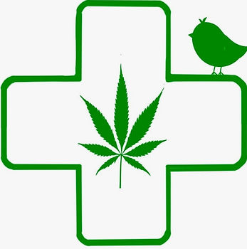 Pajarito Healing Herb