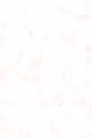 background-image-for-website.jpg
