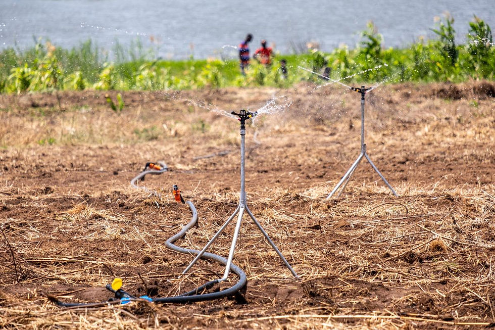 Dragline irrigation1 (1).jpg
