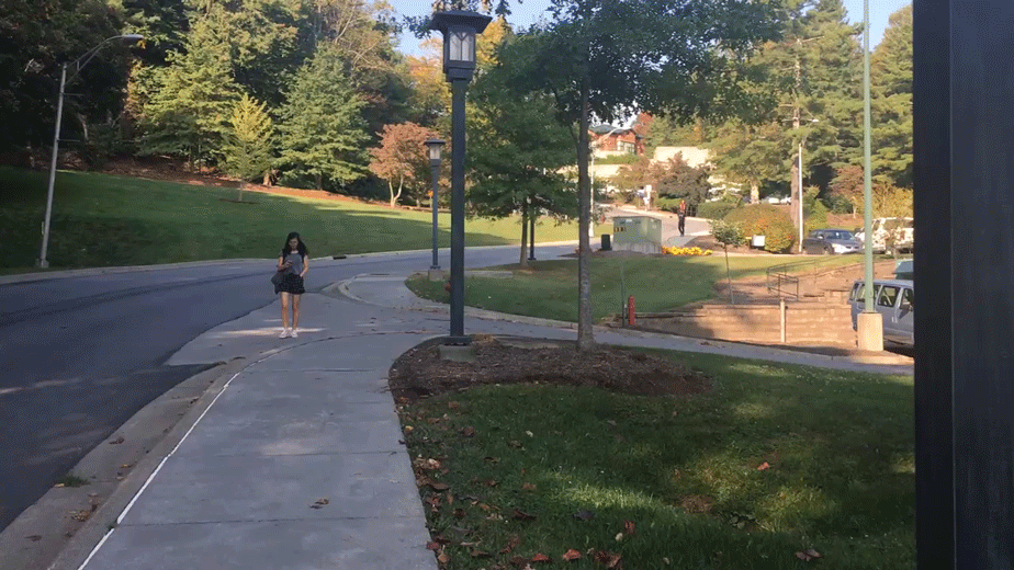 Untitled-4.gif