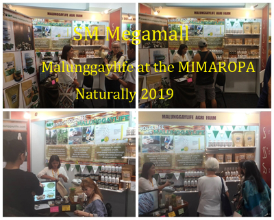 Thumbnail: Malunggay Brown Rice Tea(20pcs)/Pure Locally-Grown/Farm-grown Natural Organic