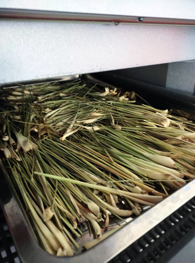 Thumbnail: Malunggay Lemongrass Tea (20pcs)/Pure Locally-Grown/Farm-grown Natural Organic