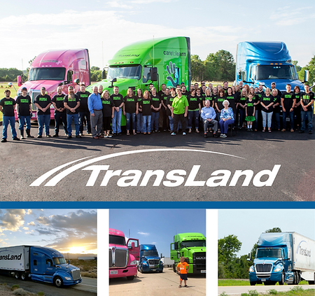 TransLand about us 2.png