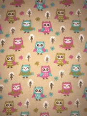 FOREST OWLS