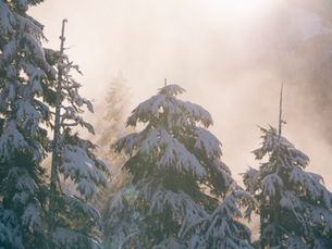 Berggasthof Grabs