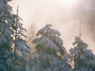 Winterurlaub im Sauerland