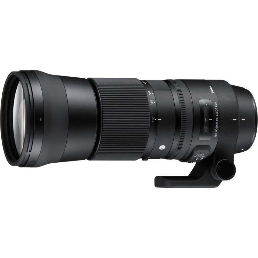 Sewa Sigma 150-600mm f/5-6.3 DG OS HSM Contemporary (Nikon F) Jakarta, Bekasi & Tangerang Selatan