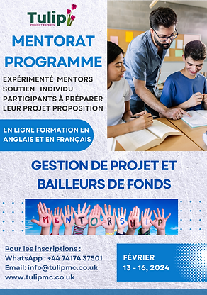 French Copy of Mentorship Program.png