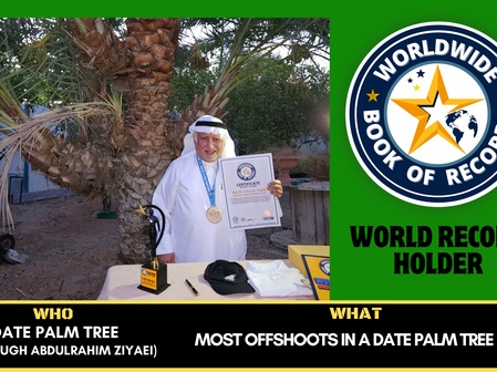Most Offshoots In A Date Palm TreeIs 10-Farough abdulrahim ziyaei