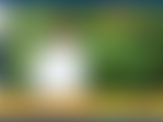 LARGEST COLLECTION OF SEEDS OFDIFFERENT TYPES OF TREES-World Record by AMOL BHAGWAN DAKE of MH,India