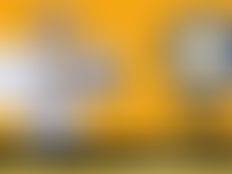 Maximum Names Of Professions Recited In 30 Seconds By A Kid -Achieved By Sastikaa