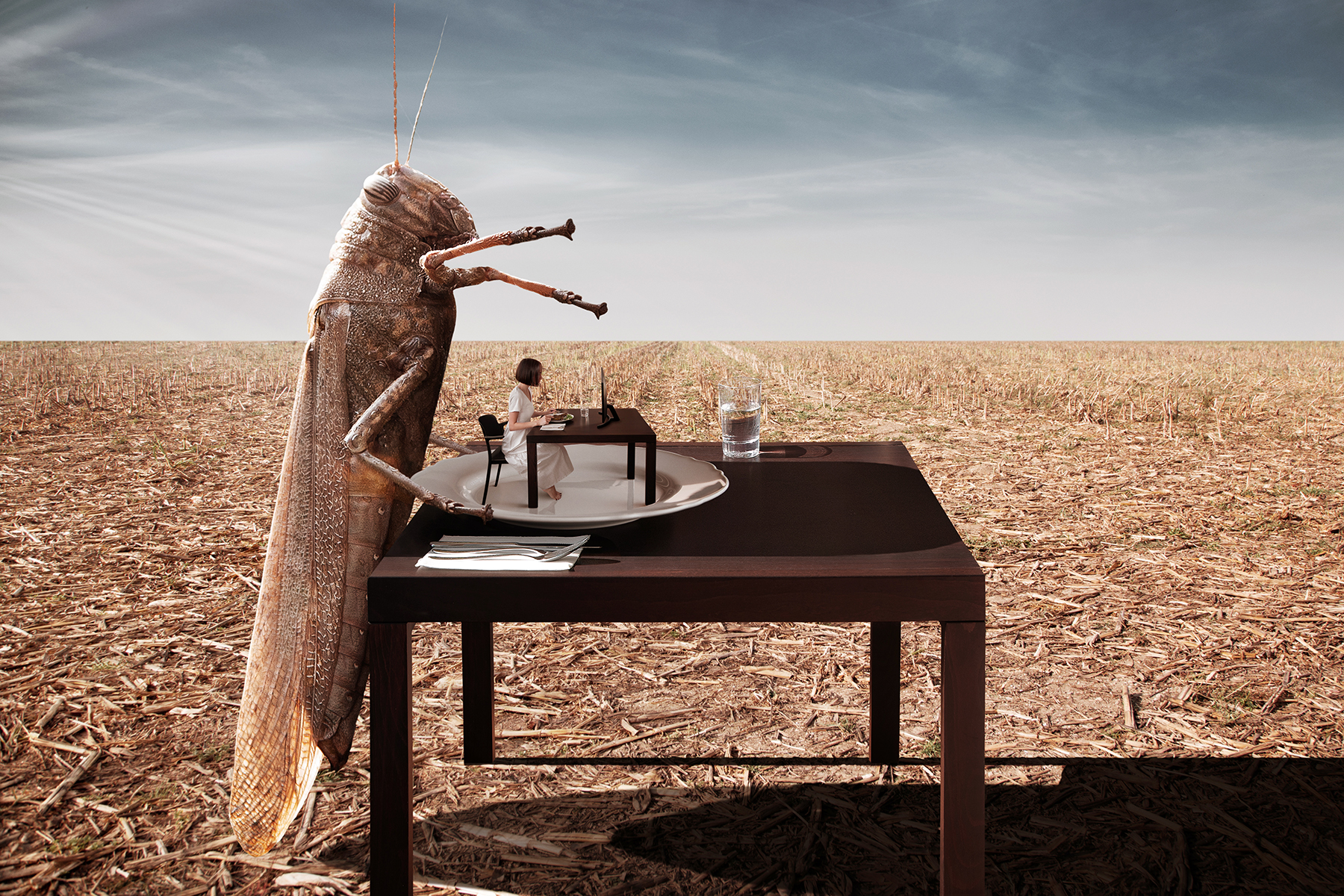 Surreal image about insect food. A huge locust is at the table where on the plate it has a little human being eating at her table and watching TV.