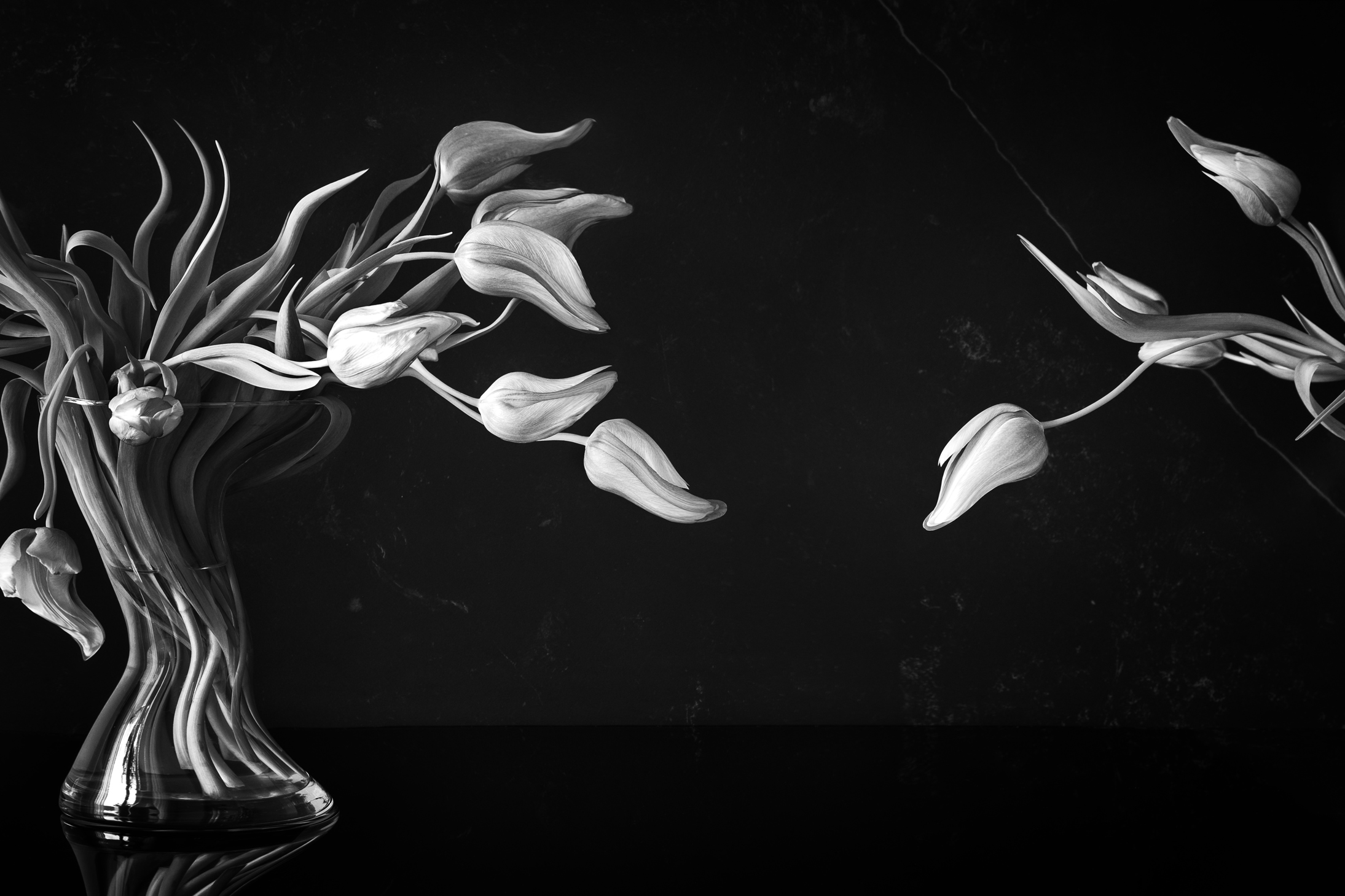 Beautiful Black and white fine art photograph showing a vase of flowers with another flower reaching for it