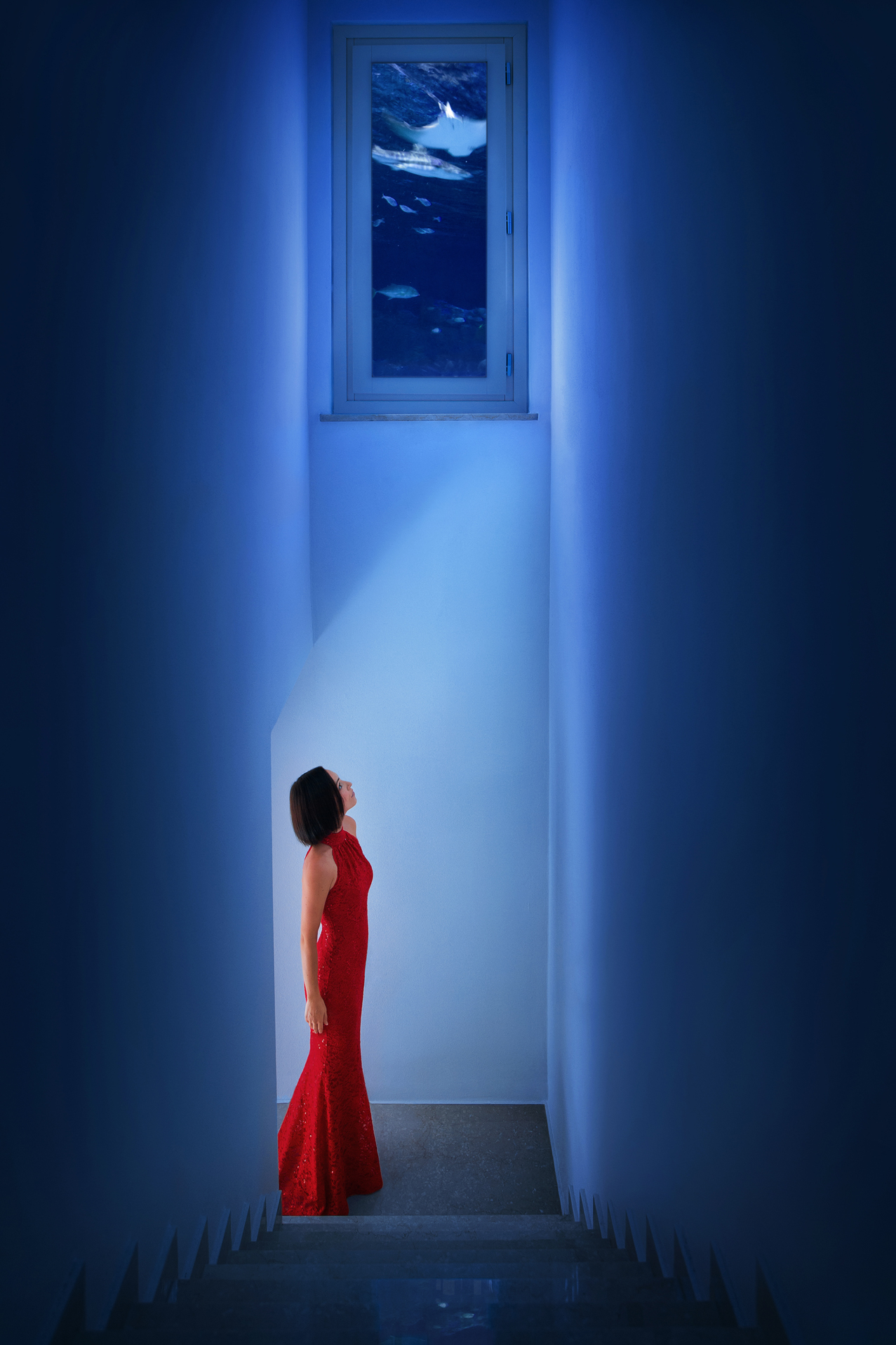 This is a fine art photograph, that explores the various quests encountered throughout a person’s life, and particularly those of the artist. The work allegorically symbolizes a human being’s search for chances in his artistic journey, and invokes a metaphysical space as a concept to highlight the theme of the individual’s loneliness in any form of life’s quest, ultimately.