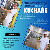NMO_INZ_kuchař.jpg