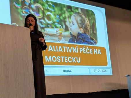Most hostil odborníky na dětskou paliativní péči 