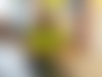 Semík léčí na dětském oddělení