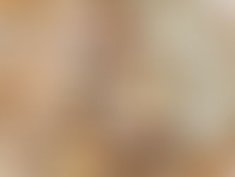 Recette Originale "POULET MAYO" express