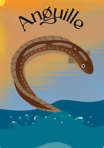 Anguille - Copertina Andrea Brunori Editor