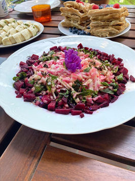 Retraite de Yoga dans le Sud Ouest avec Yoga Vivien